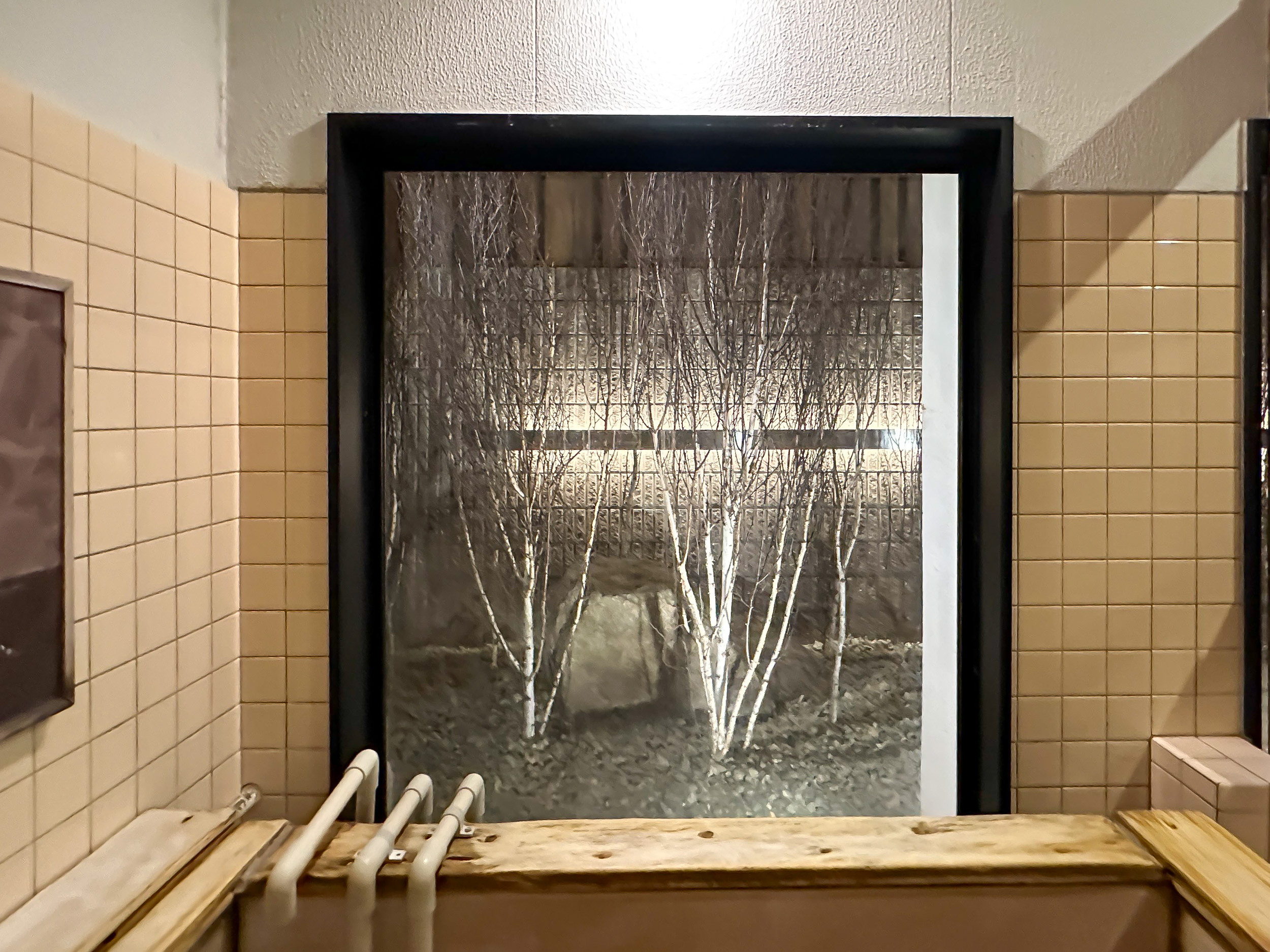 温浴施設での白樺丸太の施工事例②