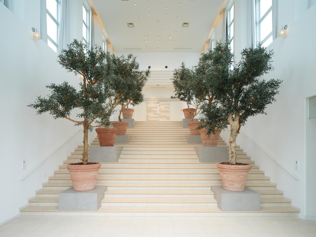 ディスプレイ盆栽の施工事例