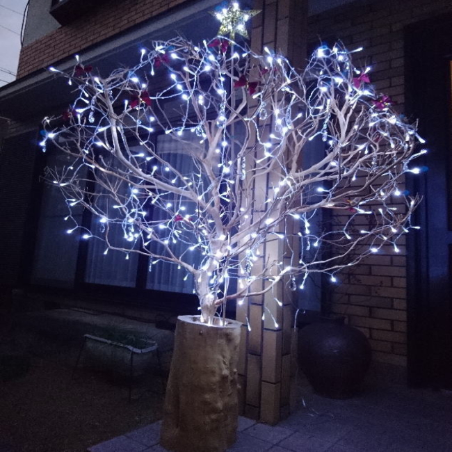 木の華にイルミネーション